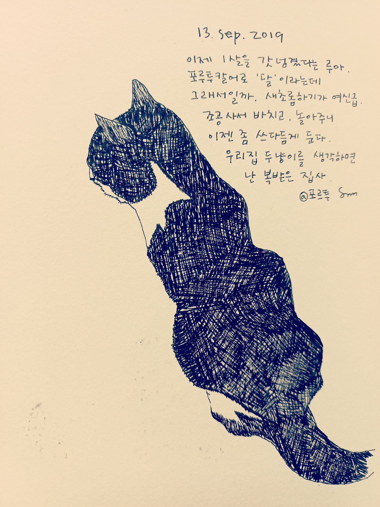 그림11.jpg