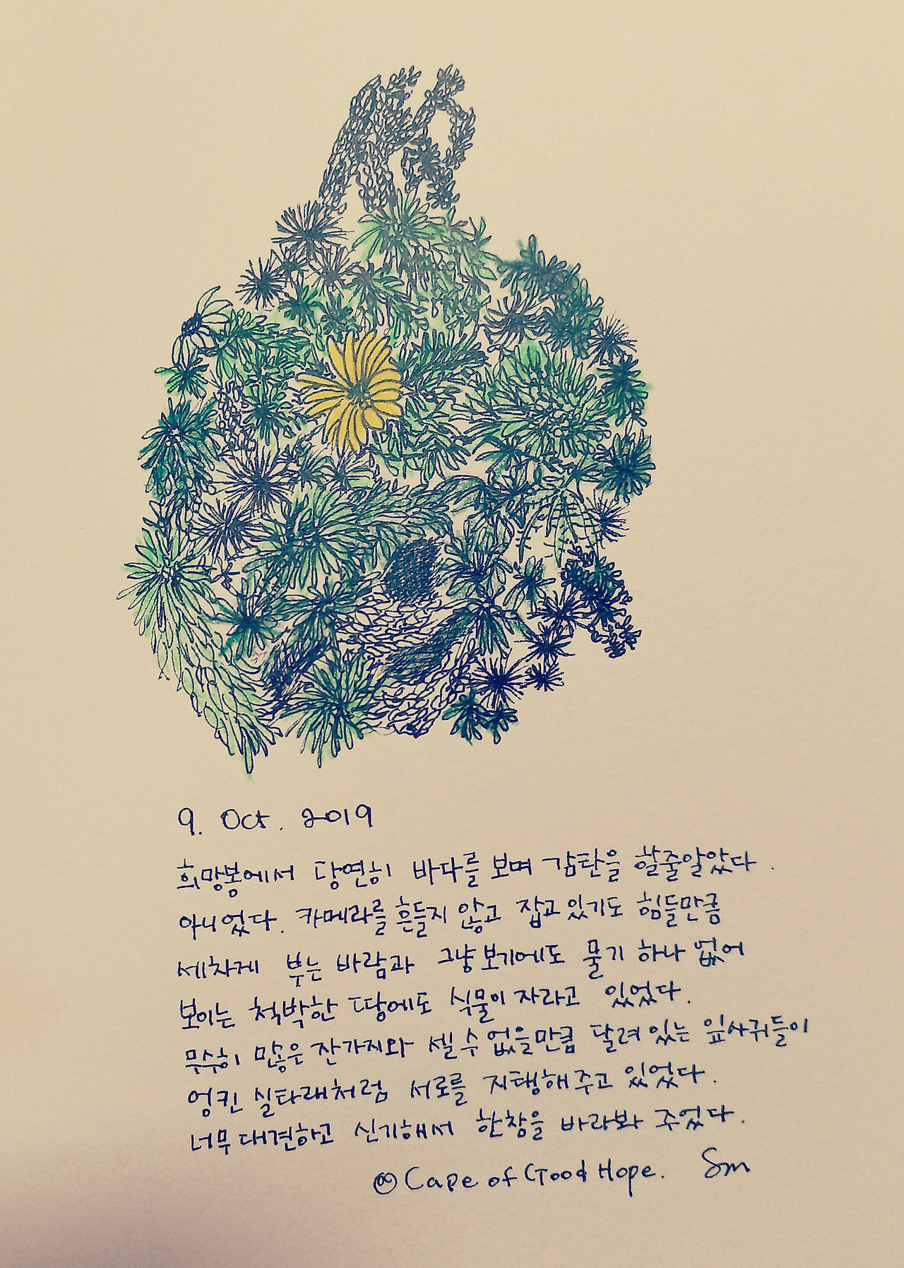 그림37.jpg