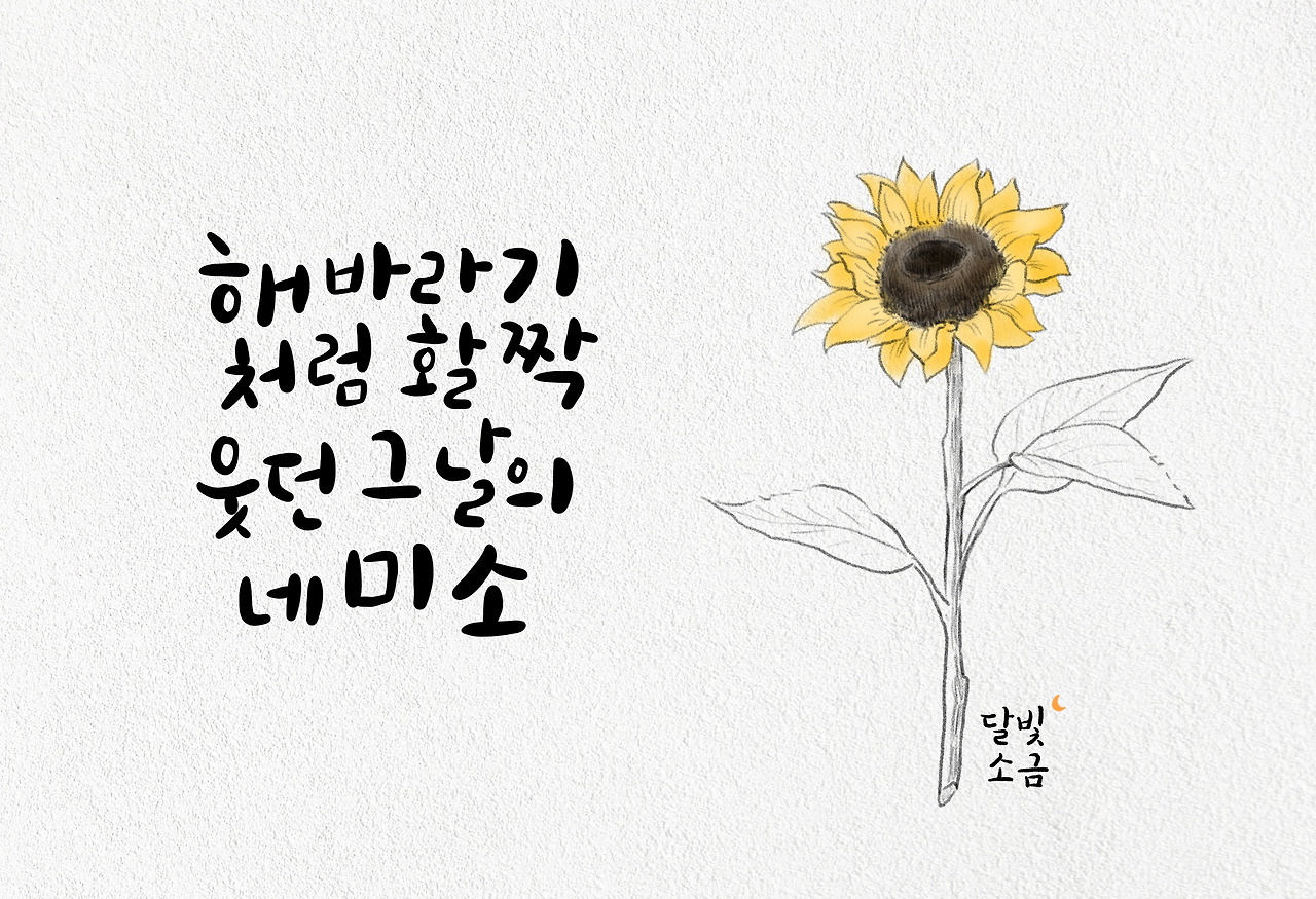 해바라기.jpg