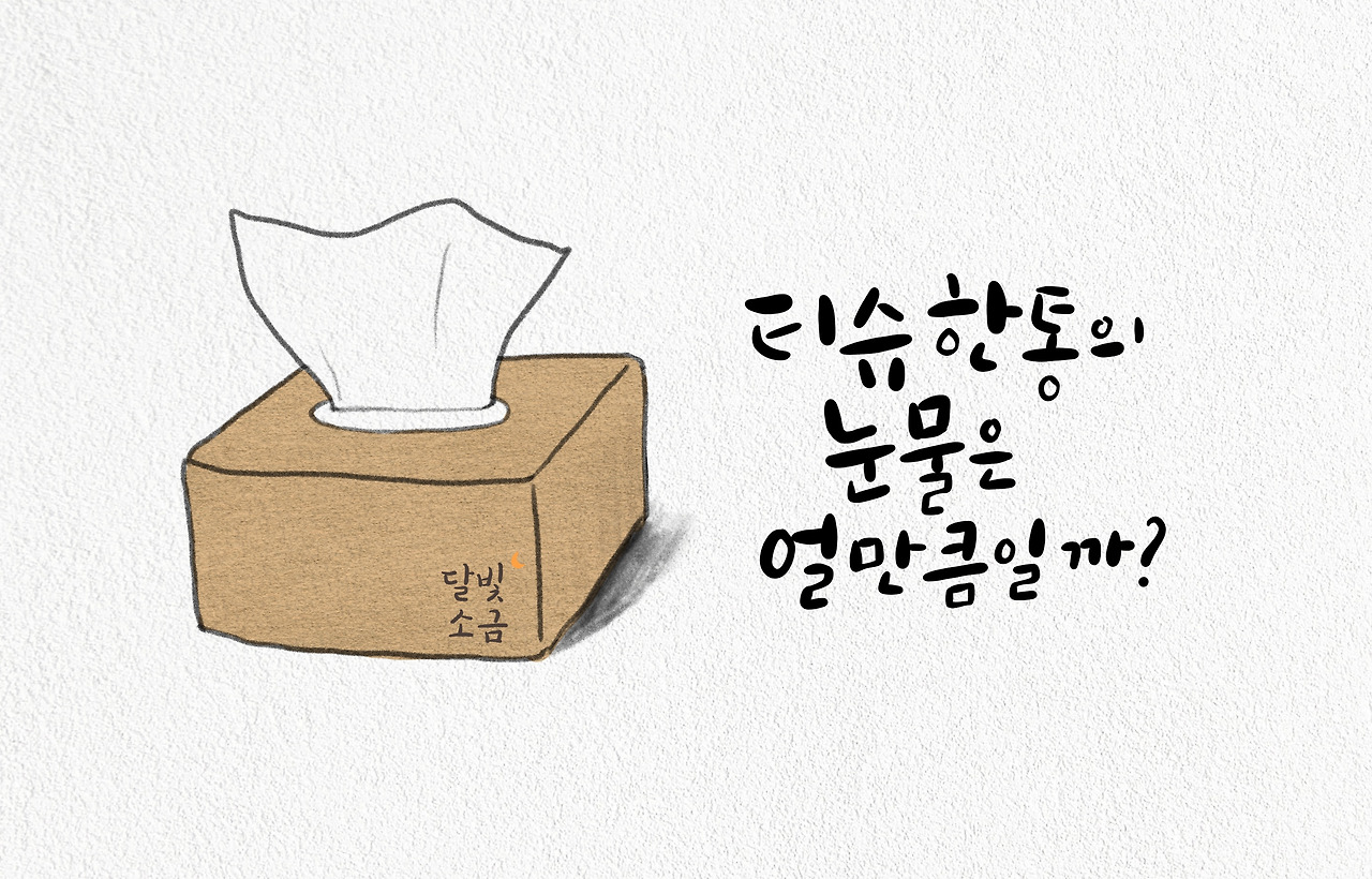 티슈.jpg