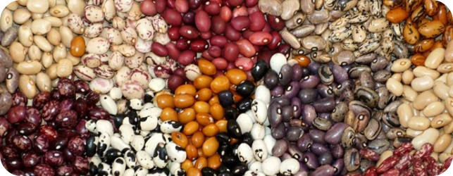 스크린샷 2025-02-02 153231.jpg