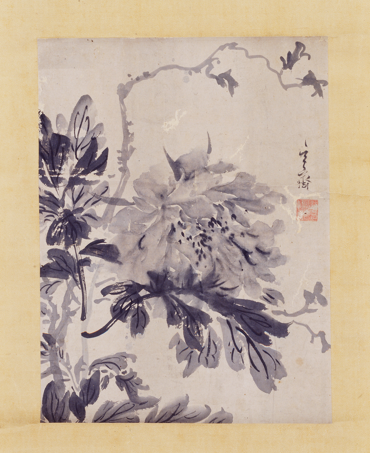 세로 29.5cm, 가로 22.2cm 심사정 묵모란도.jpg