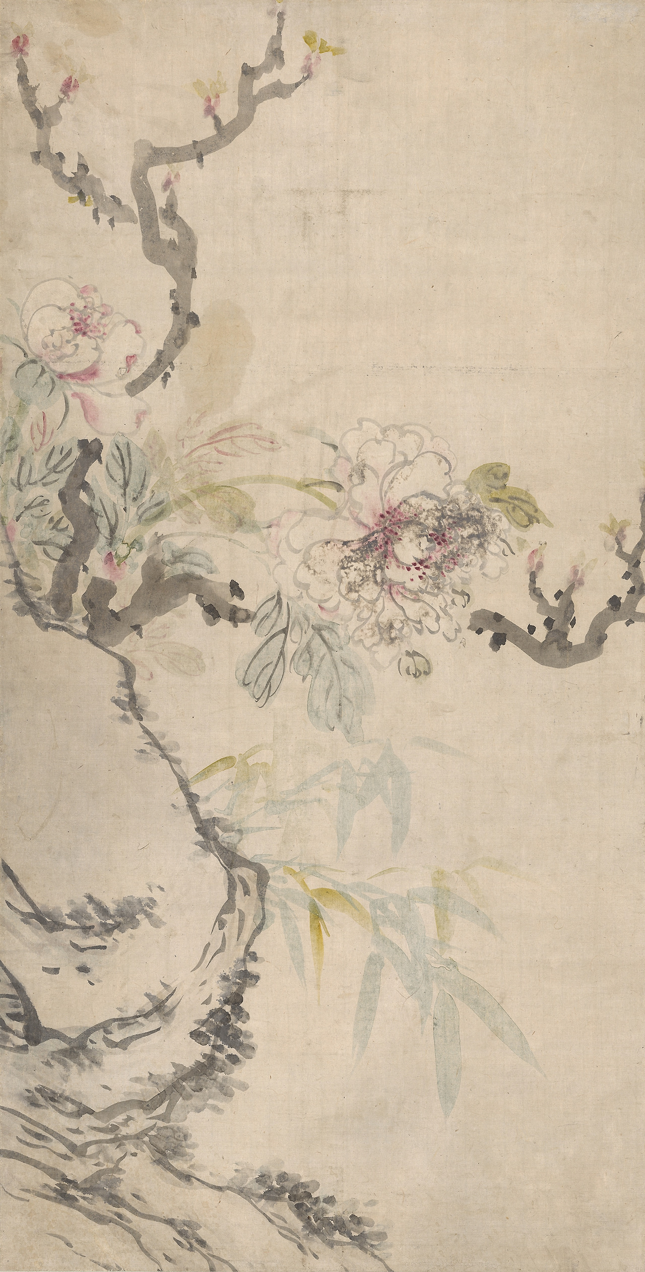 강세황 모란 세로 98.5cm, 가로 50cm 괴속모란도.jpg