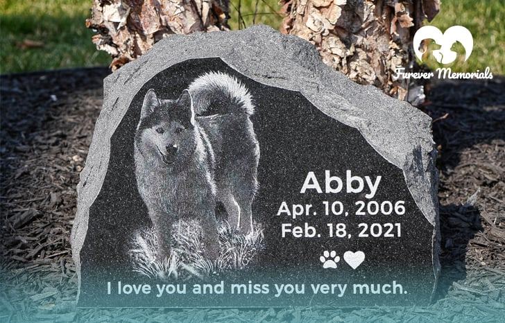 pet-memorial-101.jpg