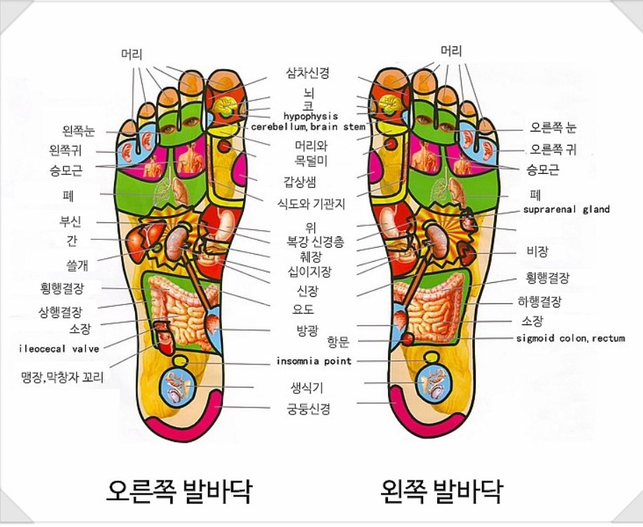 화면 캡처 2023-11-11 095658.jpg