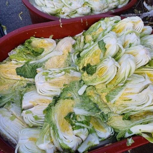 카지노 게임 사이트