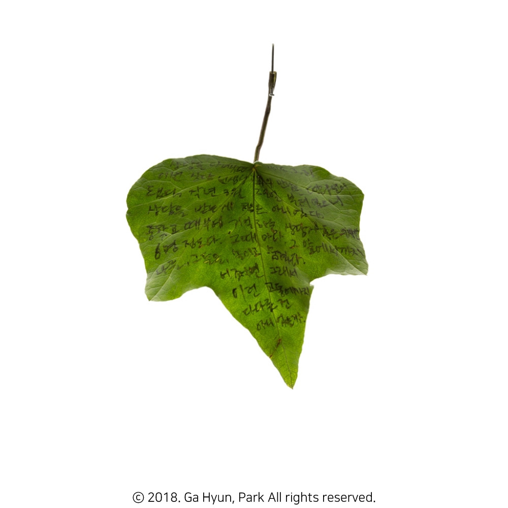 180331 5 72_copyright.jpg