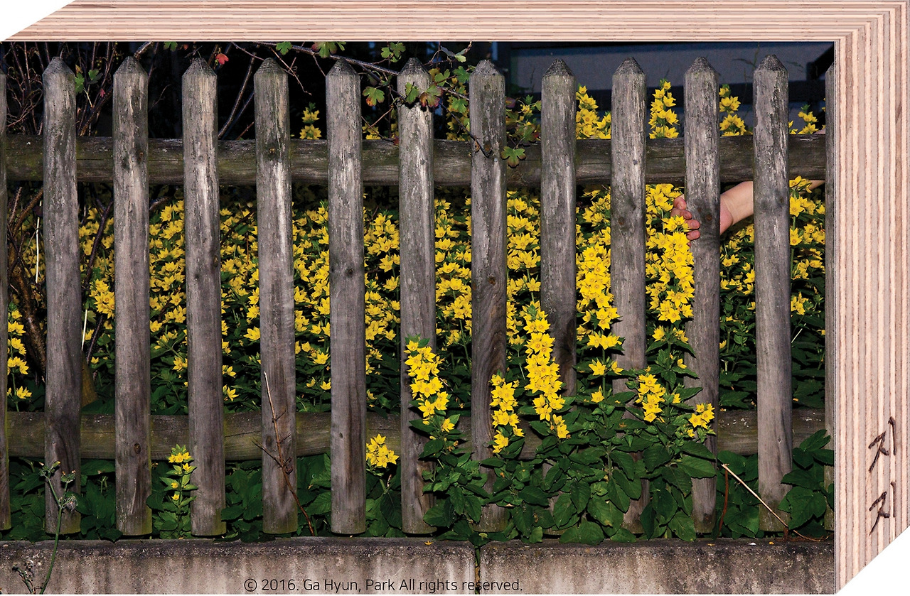 A certain amount of support, 2016, inkjet print mounted on plywood, 15x10cm copy copy RGB 72 copyright.jpg