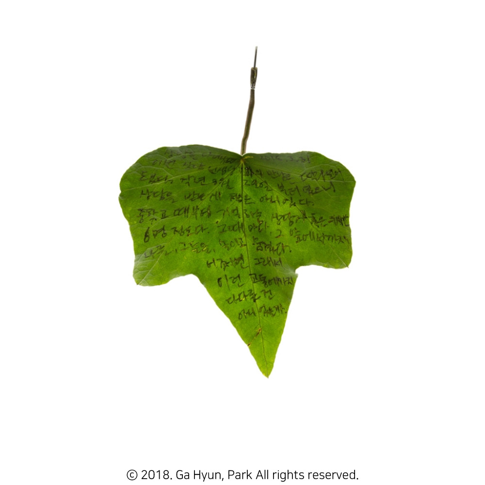 180331 2 72_copyright.jpg