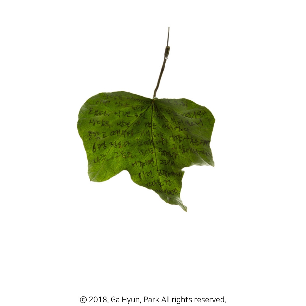 180331 7 72_copyright.jpg