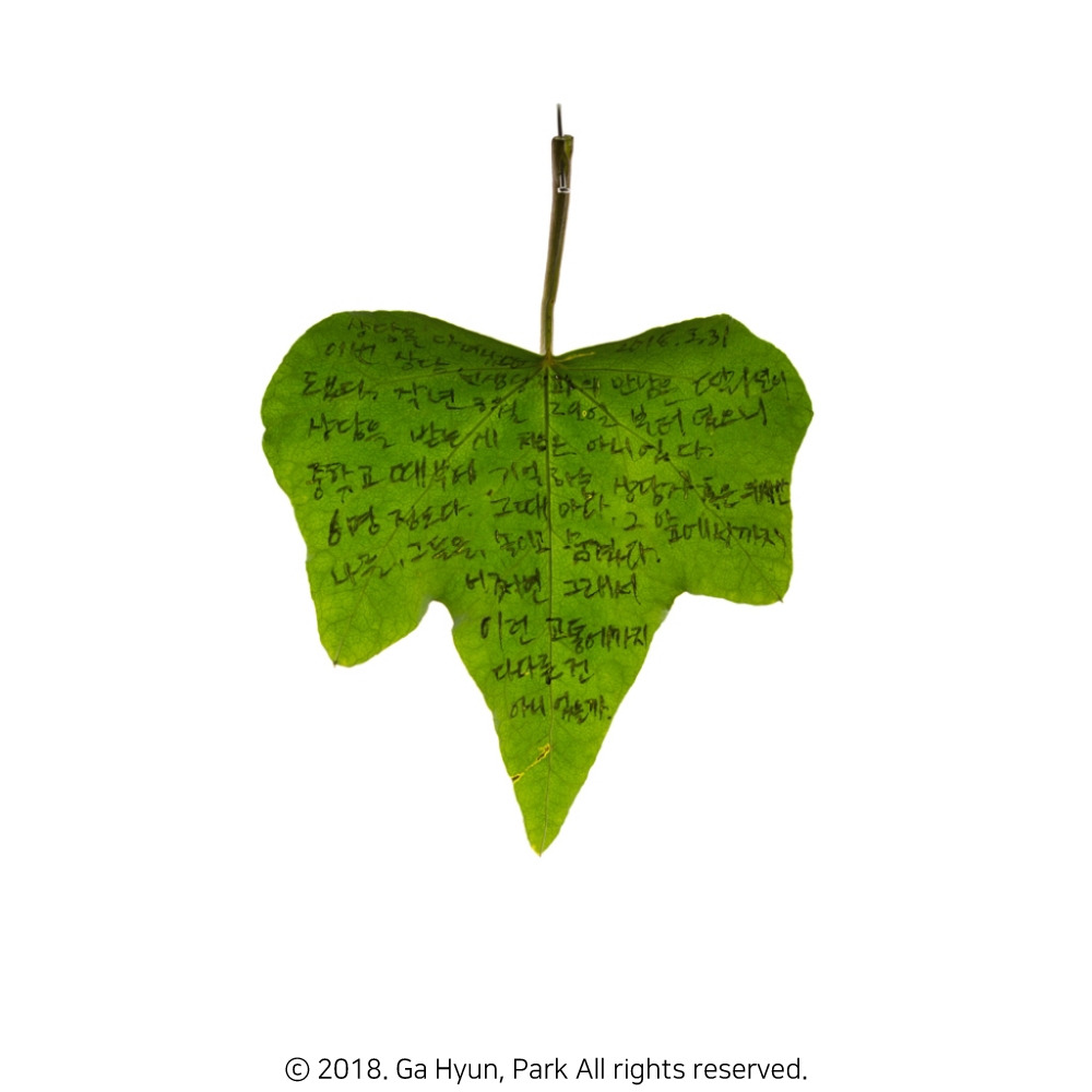 180331 1 72_copyright.jpg