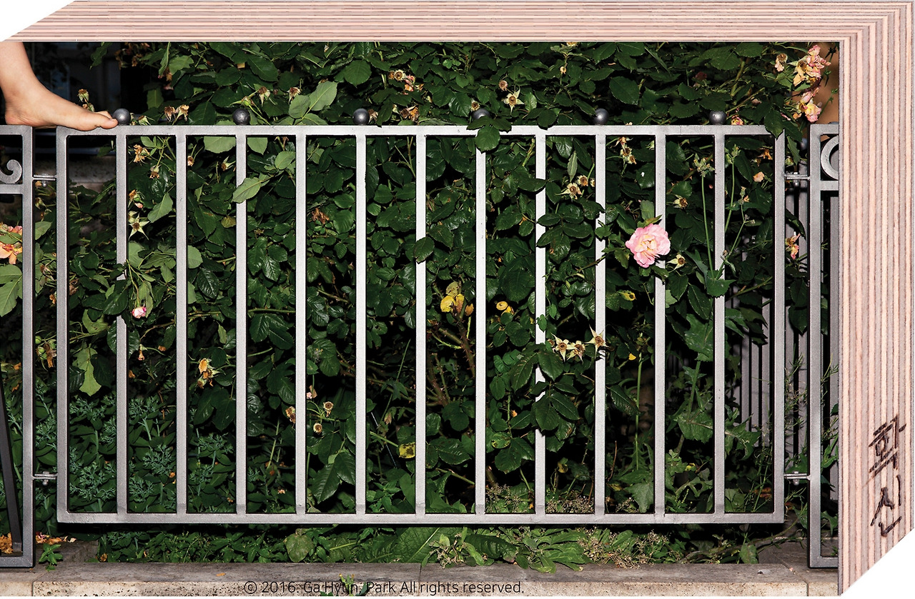 A certain amount of confidence, 2016, inkjet print mounted on plywood, 15x10cm copy copy RGB 72 copyright.jpg