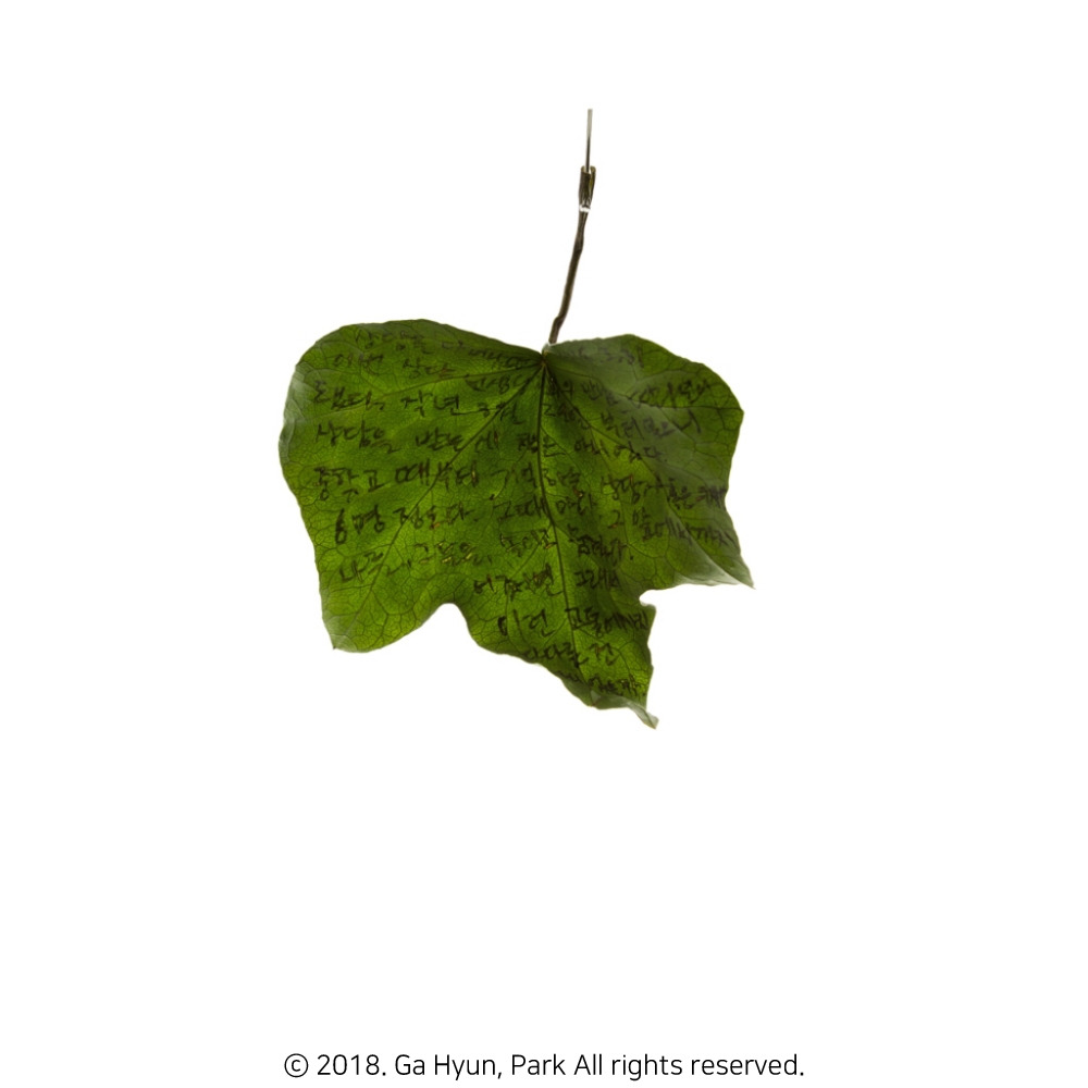 180331 8 72_copyright.jpg