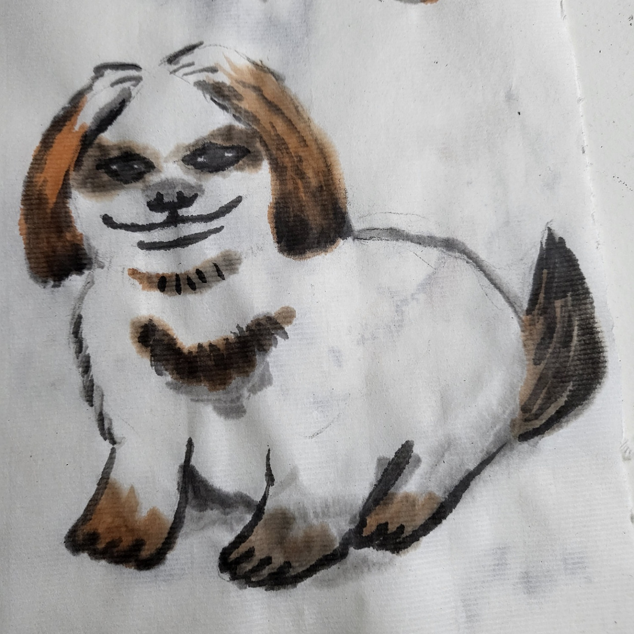 KakaoTalk_20221109_205212303 (1).jpg