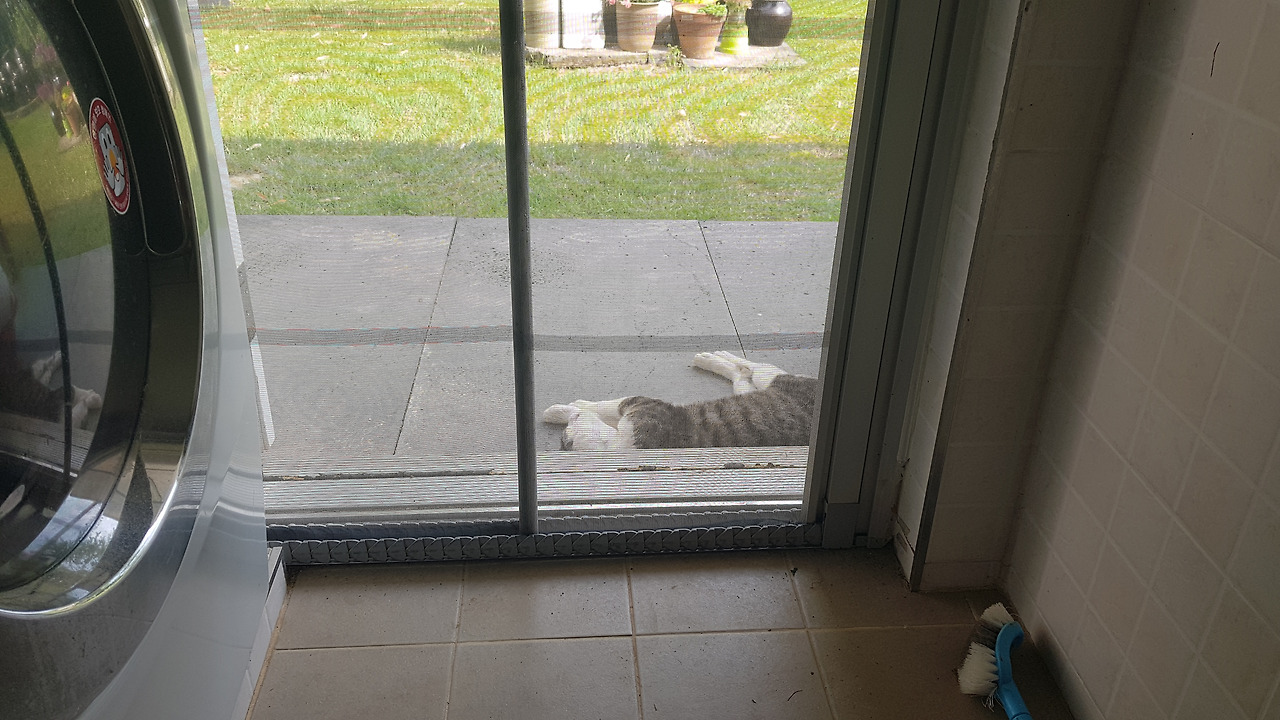 20230612_154026 (1).jpg