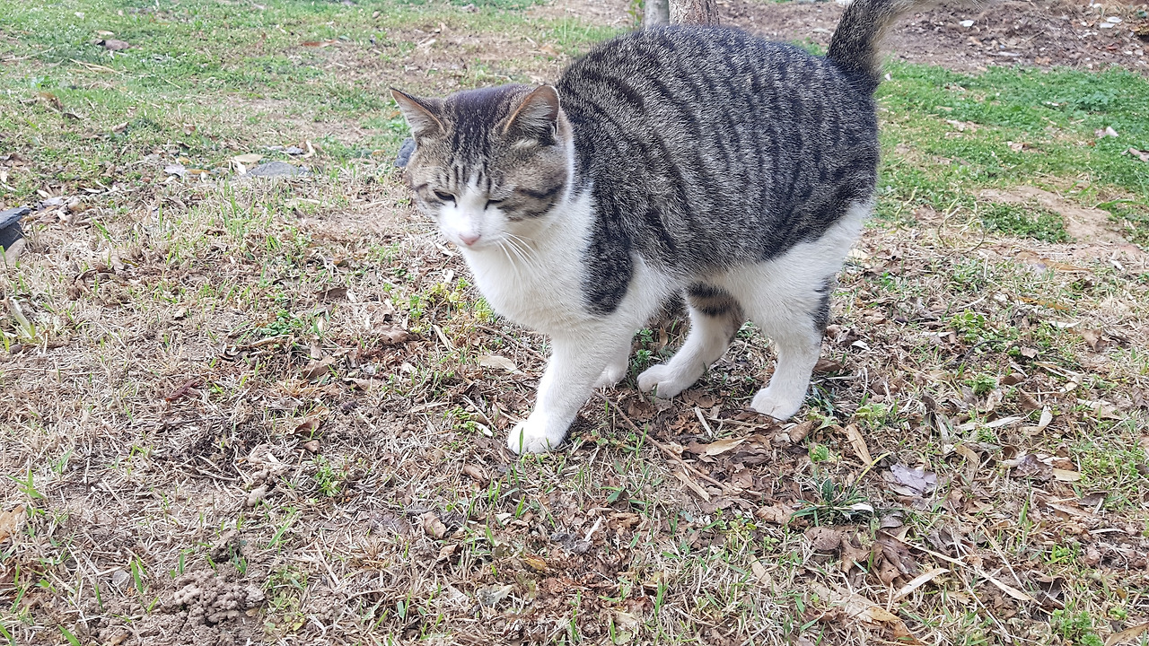 20230404_072518 (1).jpg