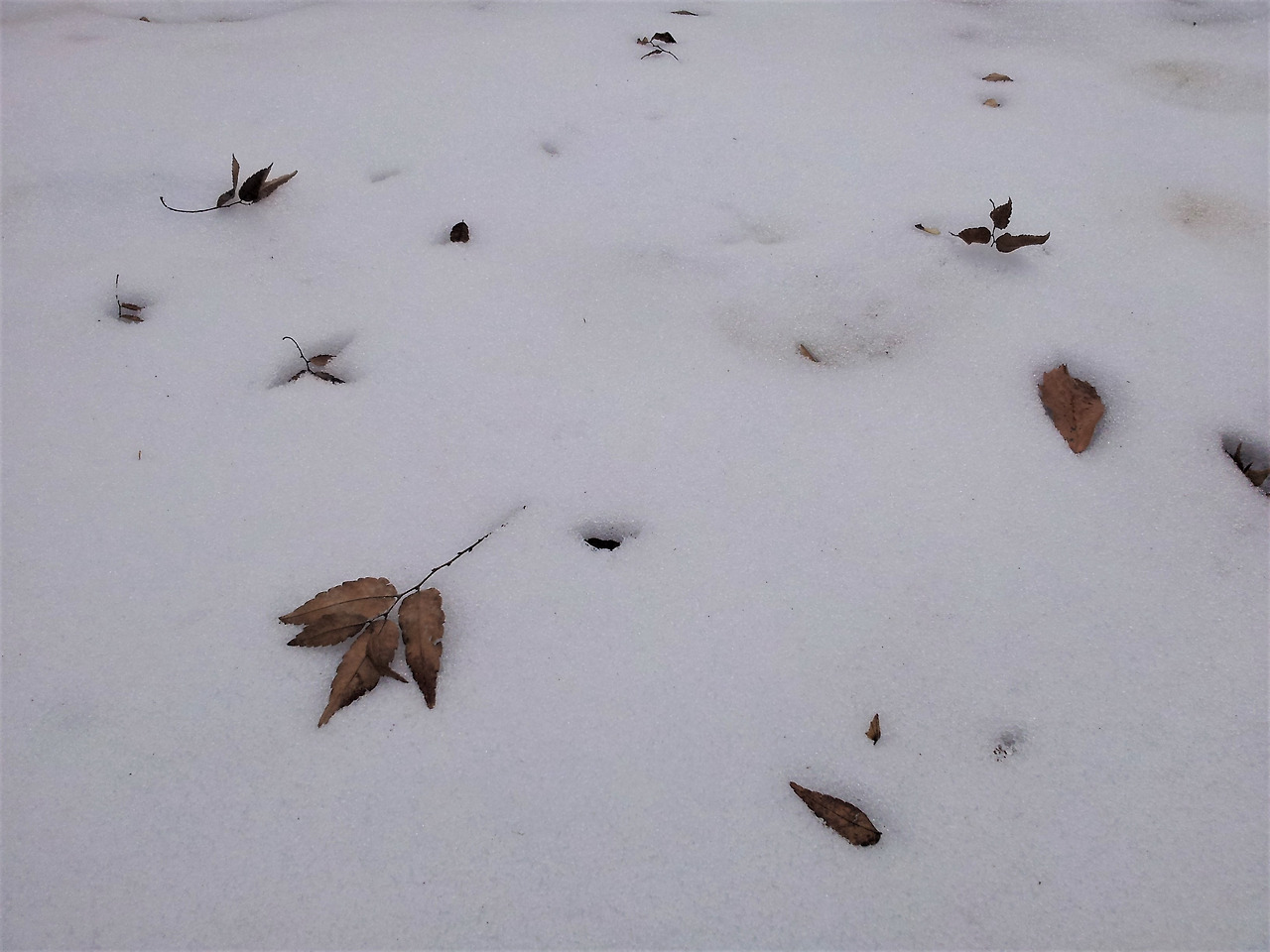 20131230_134023 보정.jpg