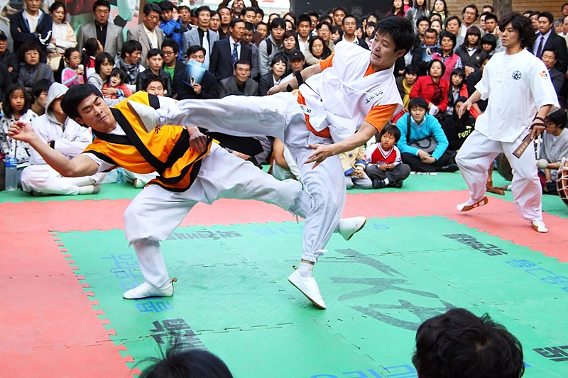 Taekkyeon-taekkyon-01.jpg