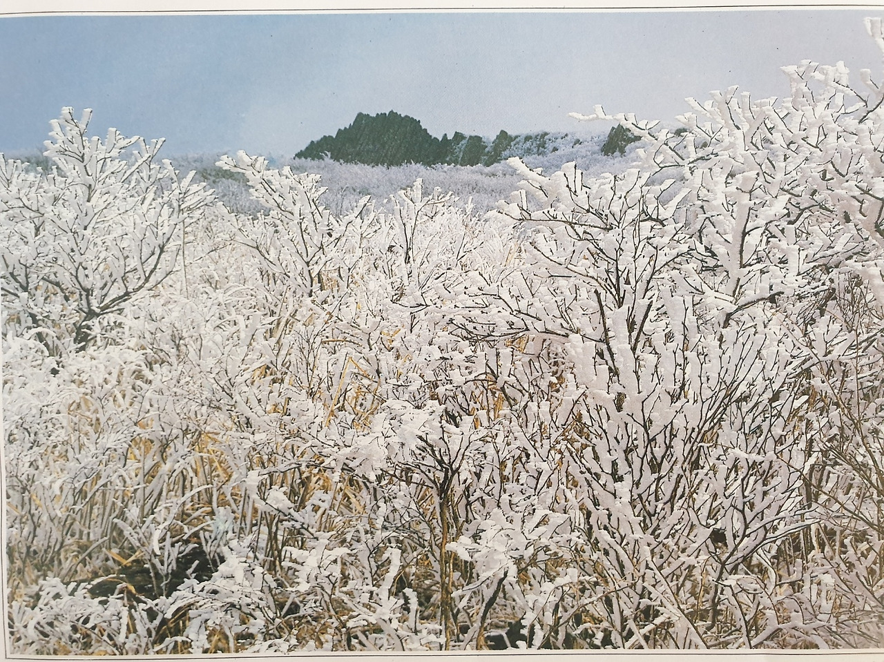 무등의 설화1 (홍승민 1987).jpg