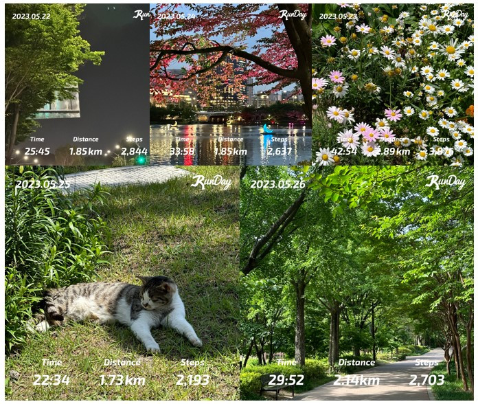 화면 캡처 2023-05-30 122044.jpg