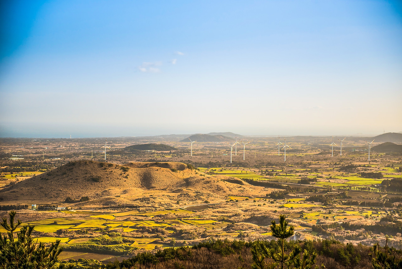 HHS_ (116) copy1.jpg