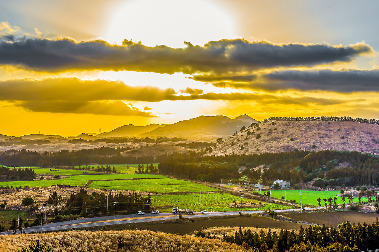 HHS_ (136) copy1.jpg