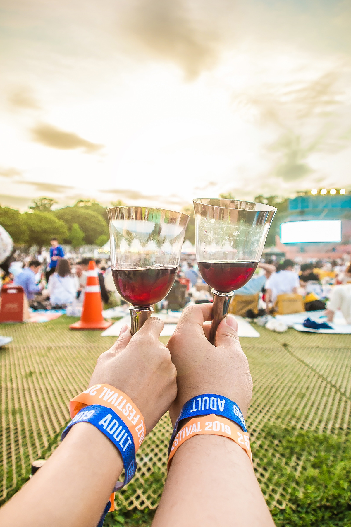 P5250352 copy copy.jpg