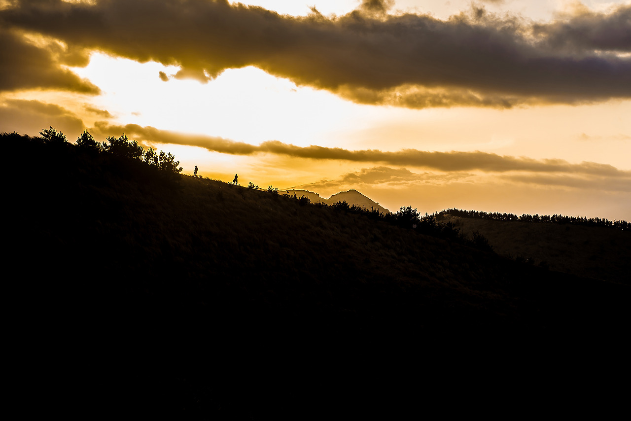 HHS_ (156) copy copy.jpg