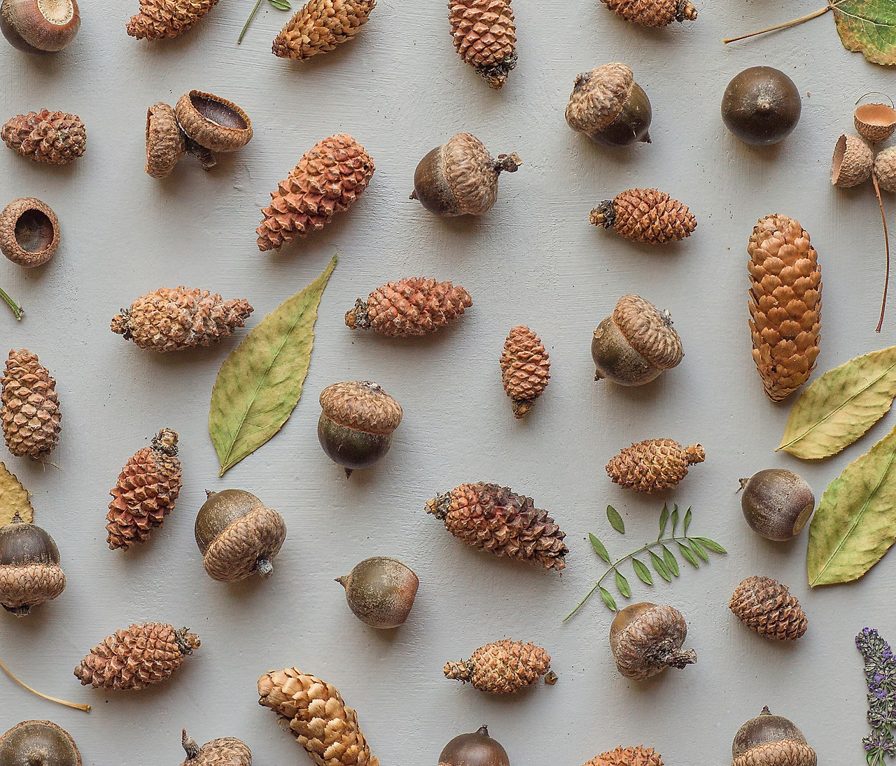 cary-bates-IE9O2hRsfAU-unsplash (1).jpg