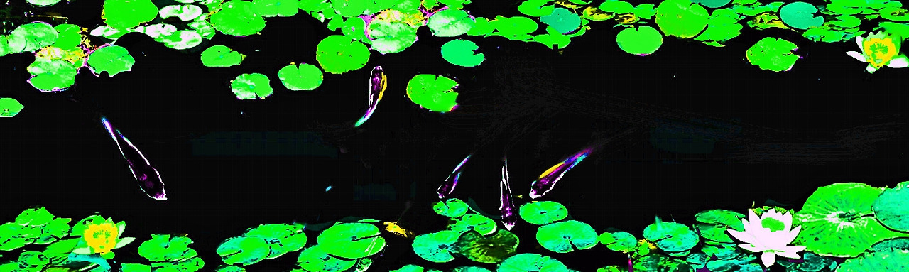 디지털 연못 스케치-1-1-6.jpg