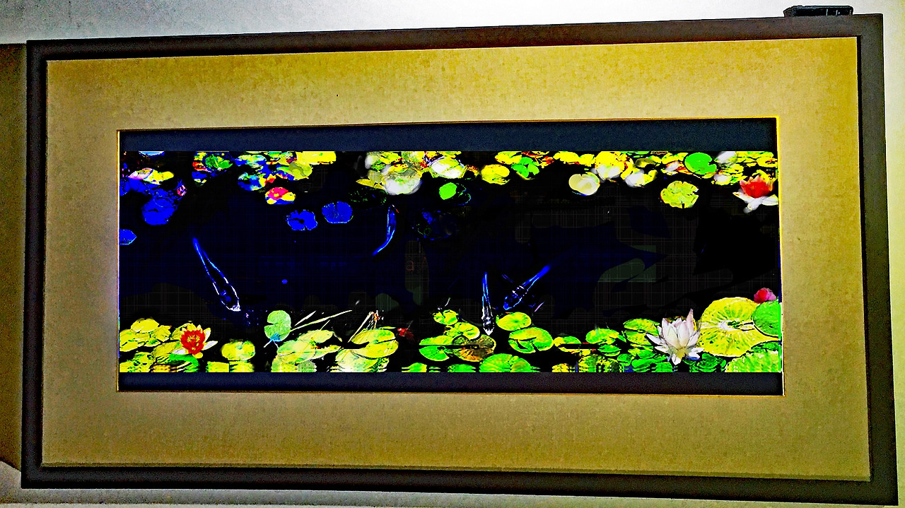 스틸영상 디지털 연못46-2.jpg