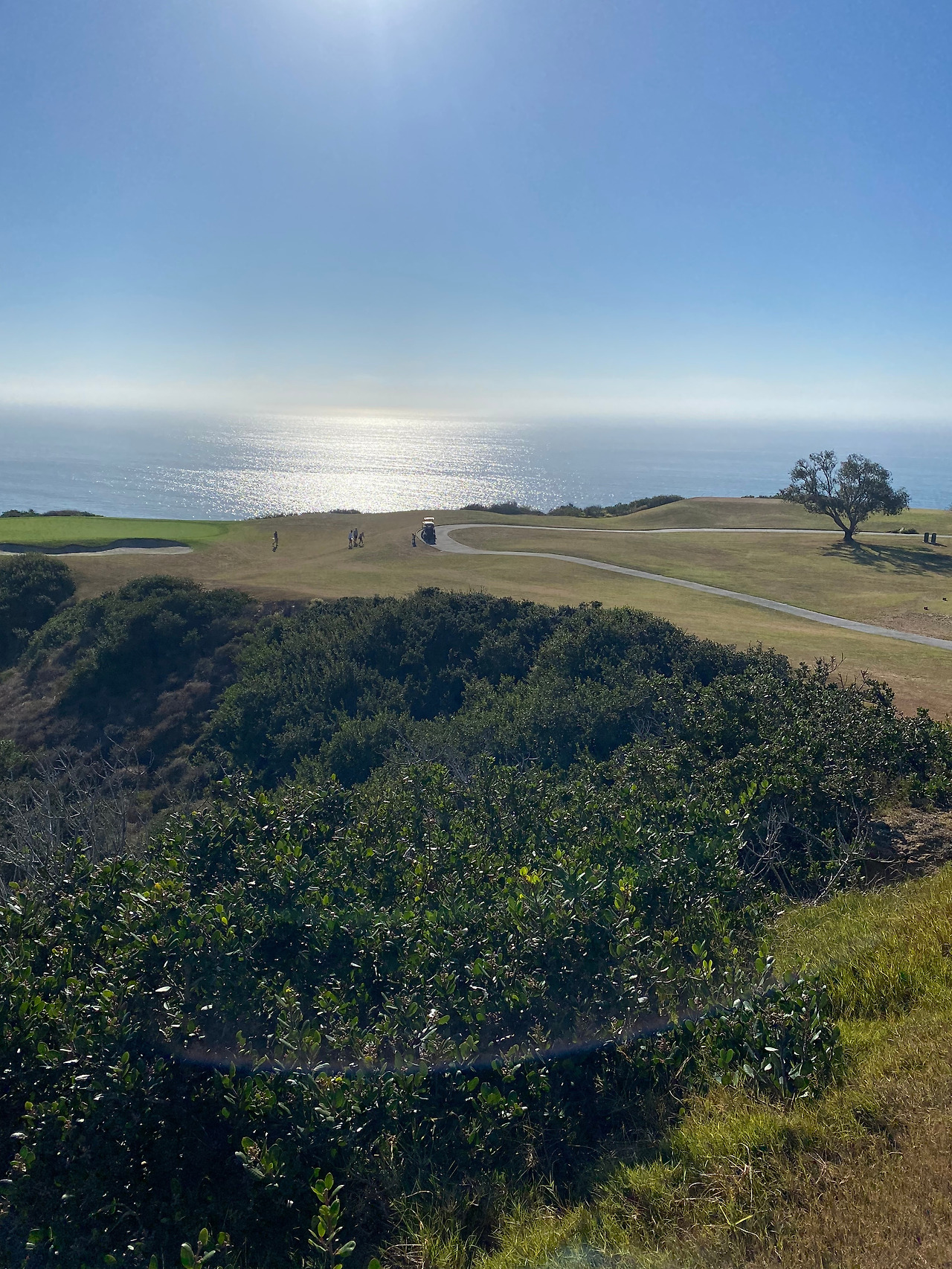 KakaoTalk_20231024_002331448_02 (2).jpg