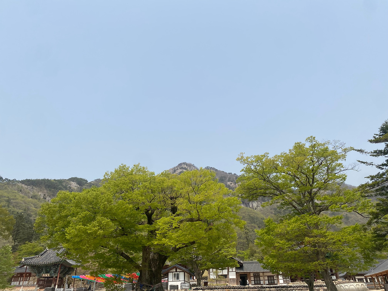 KakaoTalk_20250418_195458254_14 (1).jpg