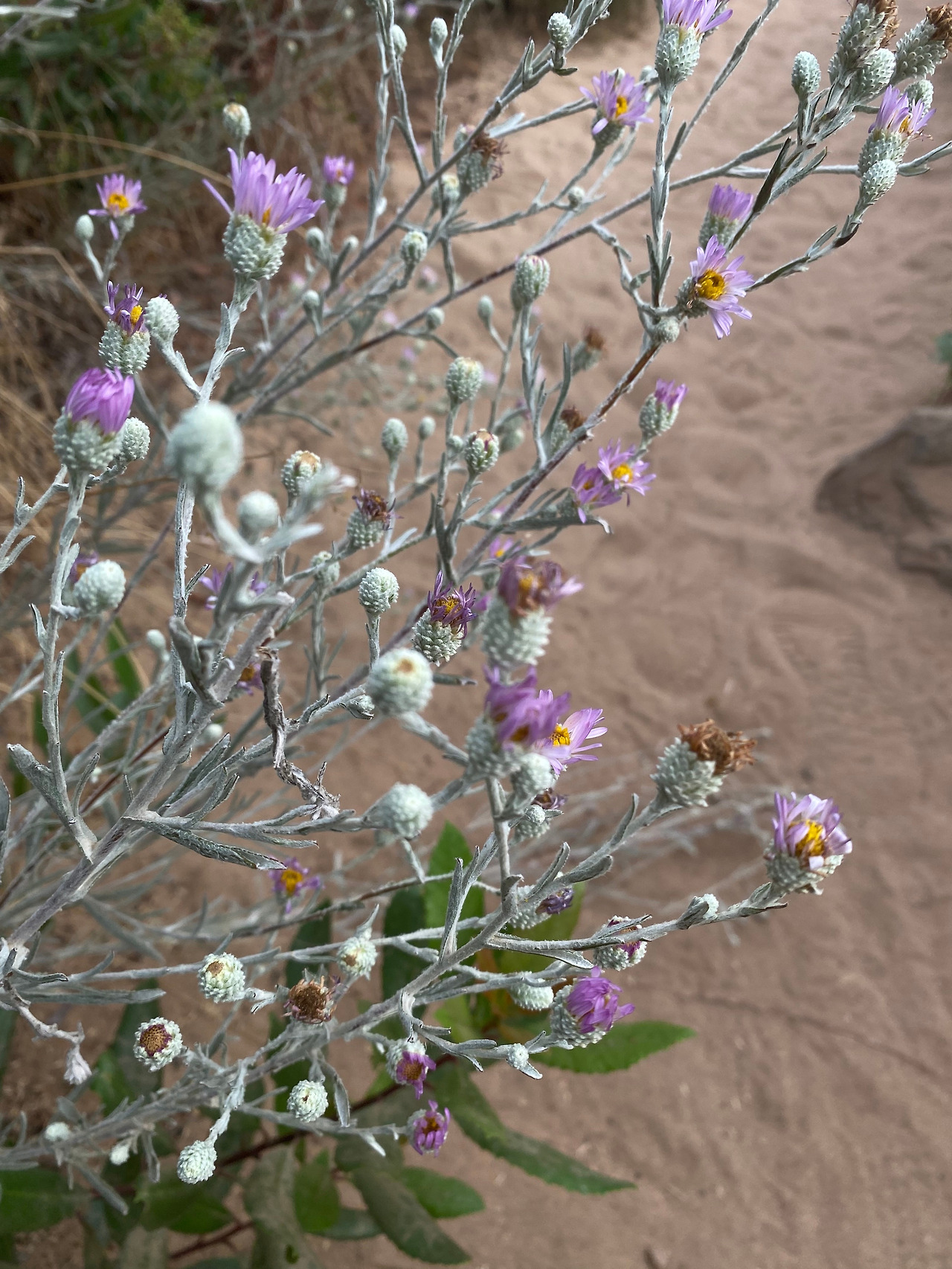 KakaoTalk_20230804_120956294_16 - 복사본.jpg