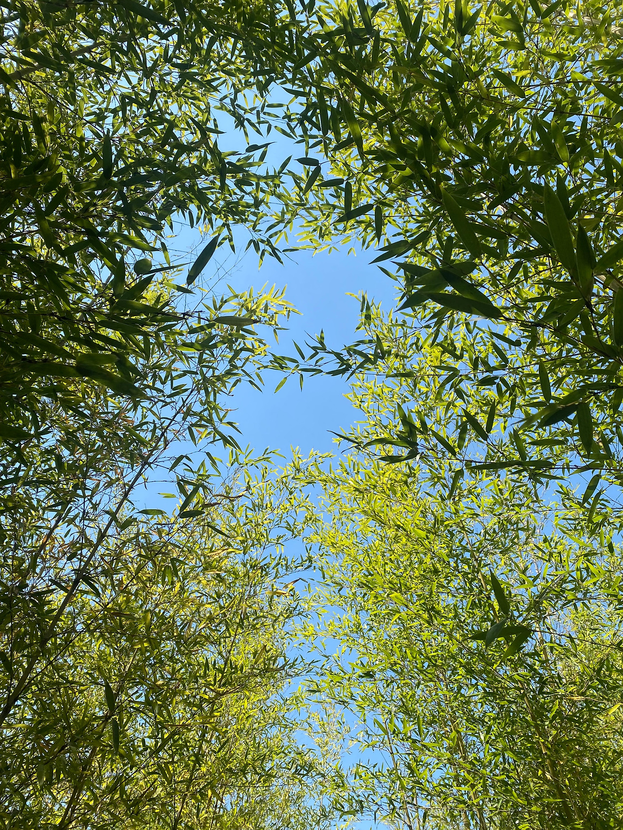 KakaoTalk_20250429_170407760_14 (1).jpg