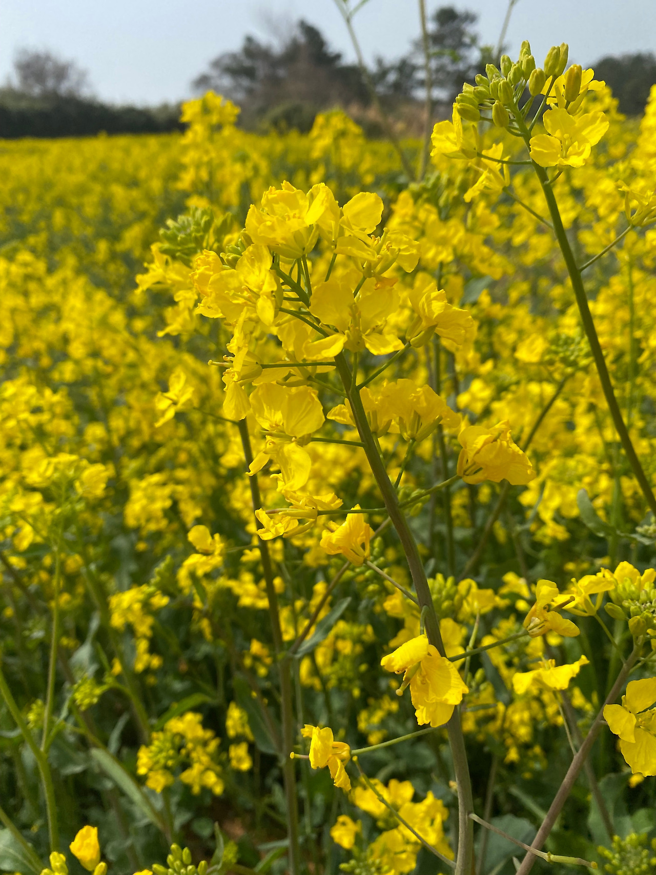 KakaoTalk_20250418_195458254_21 (1).jpg