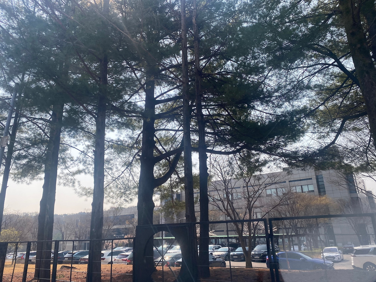 KakaoTalk_20250407_190001611_10 (1).jpg