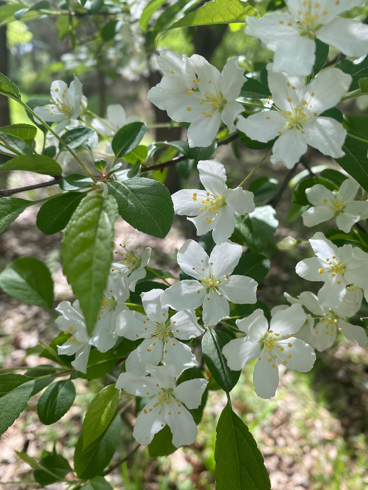 KakaoTalk_20250421_155407715_14 - 복사본.jpg