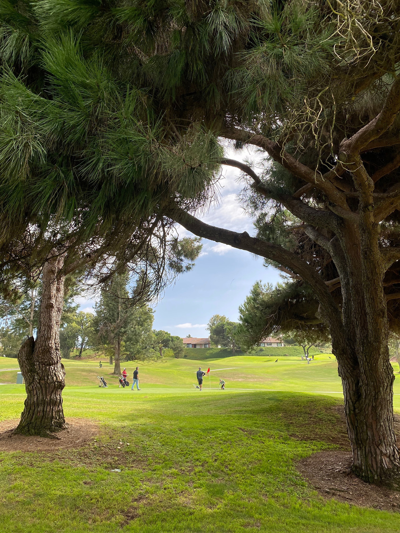 KakaoTalk_20230929_212549400_03 (3).jpg