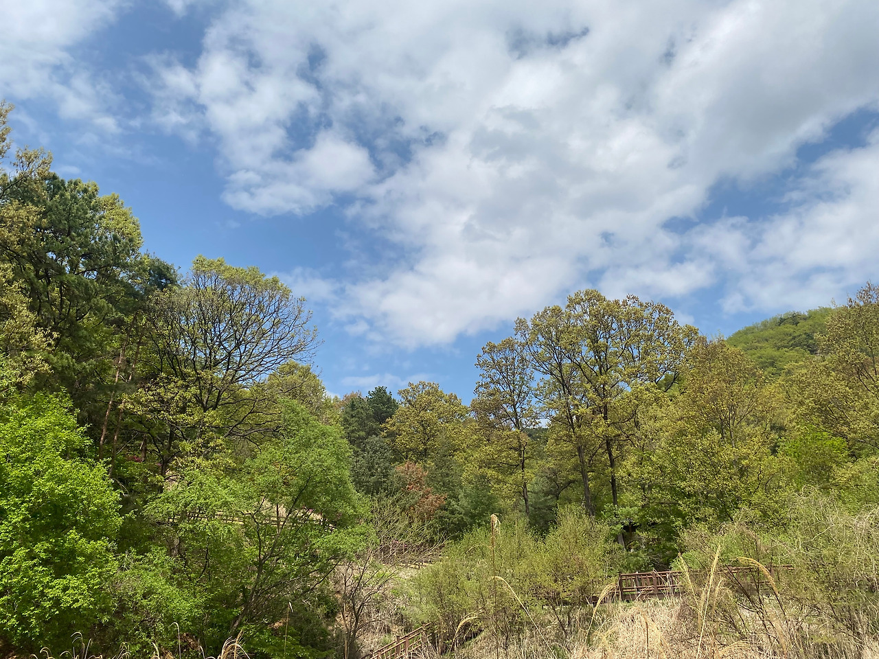 KakaoTalk_20250421_155407715_24 - 복사본.jpg