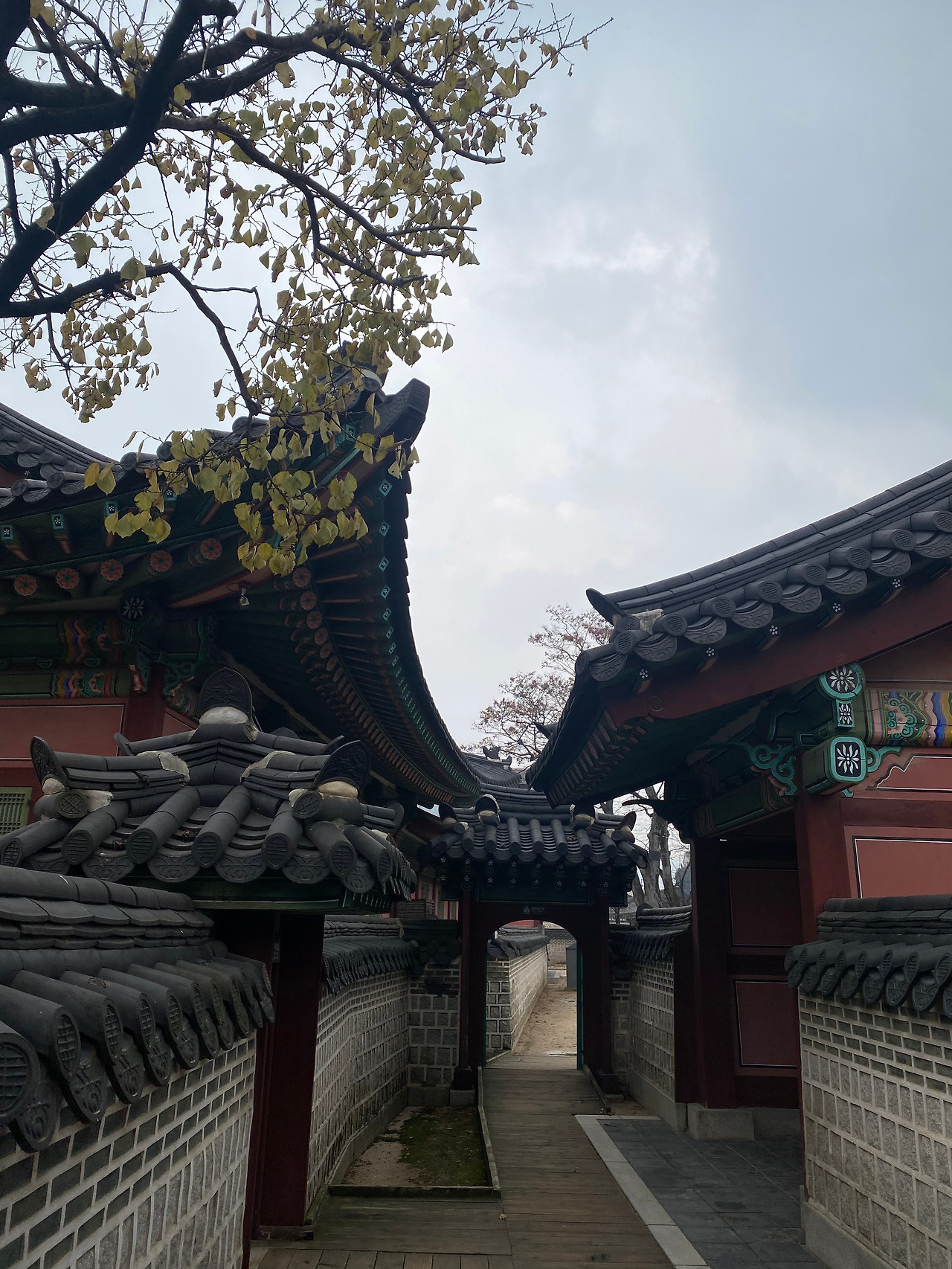 KakaoTalk_20251126_115119063_07 (1).jpg