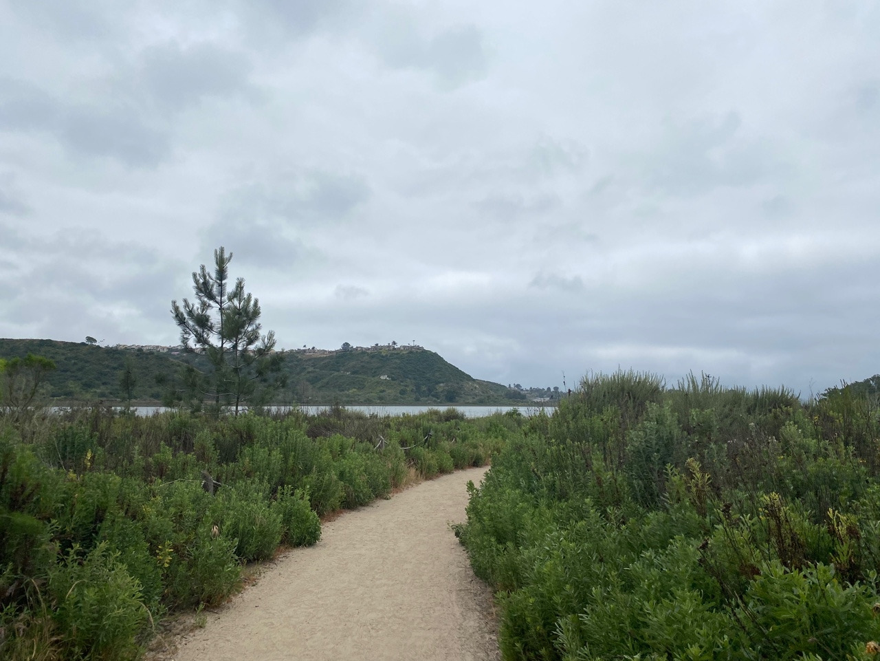 KakaoTalk_20230519_172204844_24 (1).jpg