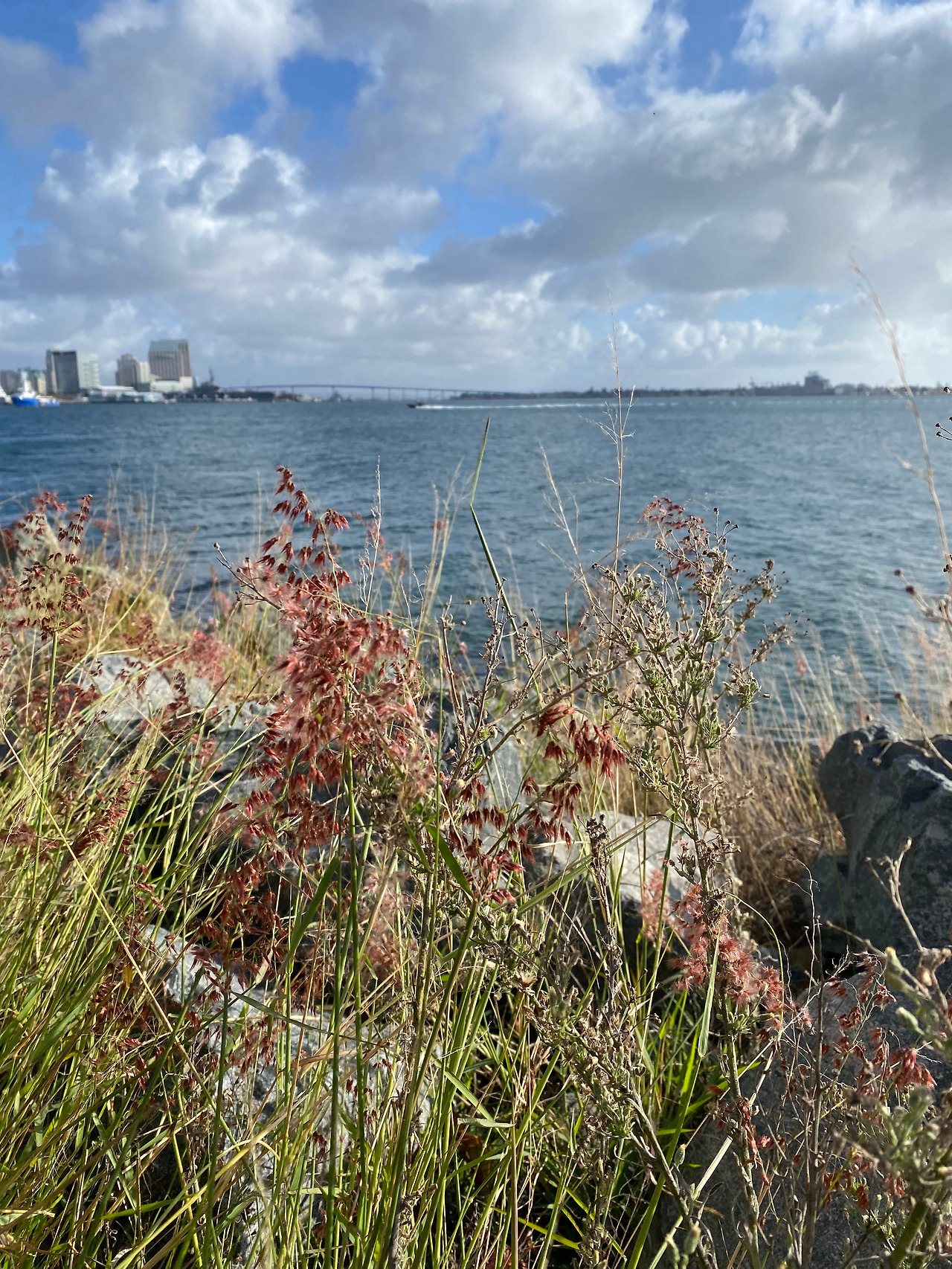 KakaoTalk_20240103_204020127_26 (2).jpg