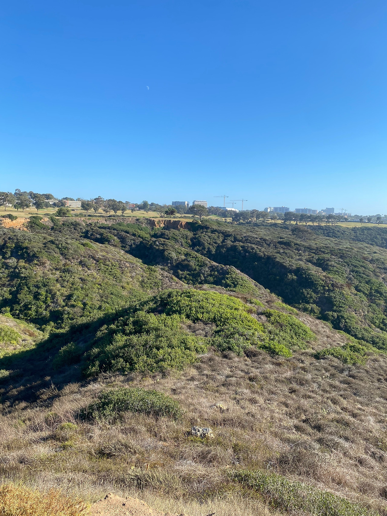 KakaoTalk_20231024_002331448_07 (1).jpg