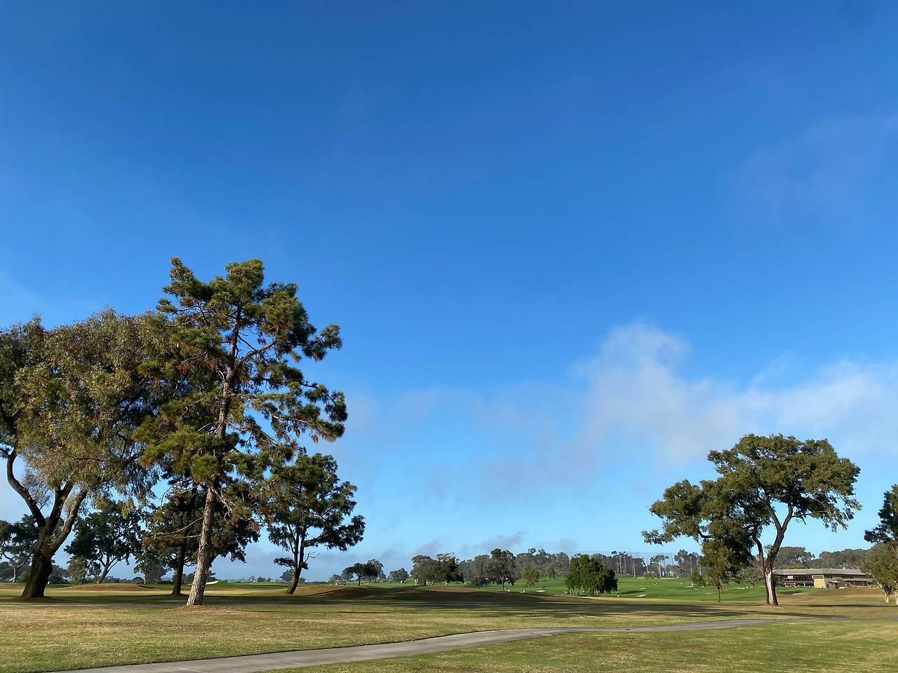 KakaoTalk_20231024_002331448 (1).jpg