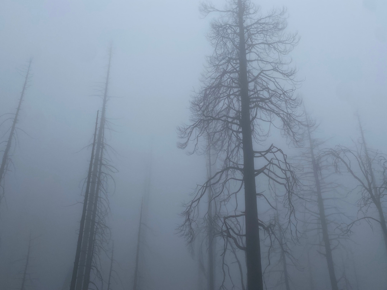 KakaoTalk_20230904_235211248_14 (1).jpg