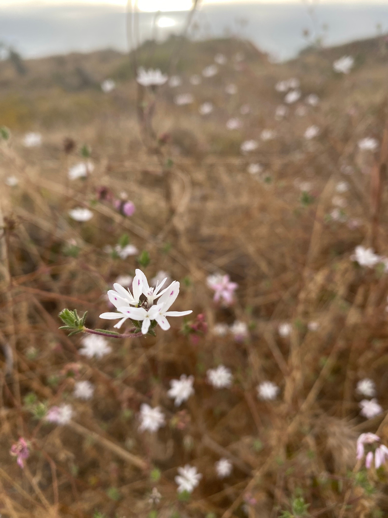 KakaoTalk_20230804_120956294_18 - 복사본.jpg