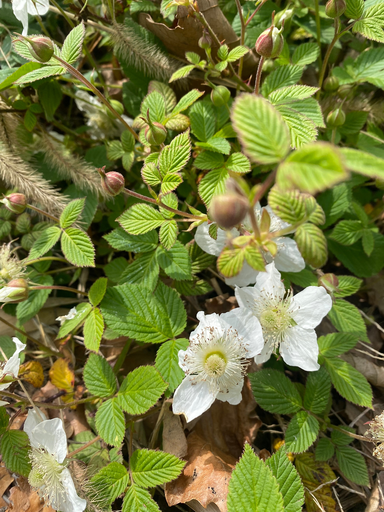 KakaoTalk_20250418_195506112_22 (1).jpg