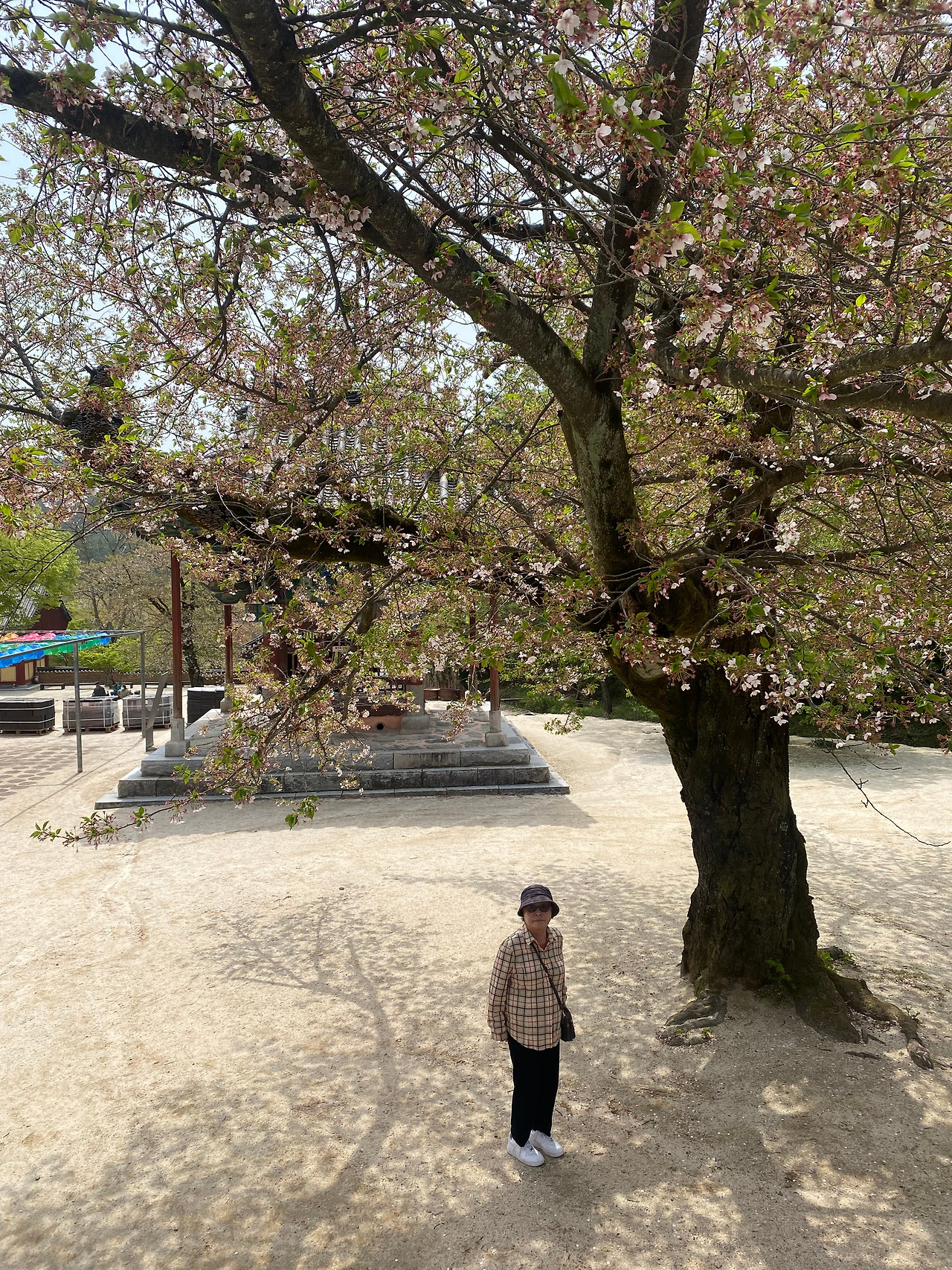 KakaoTalk_20250418_195458254_16 (1).jpg