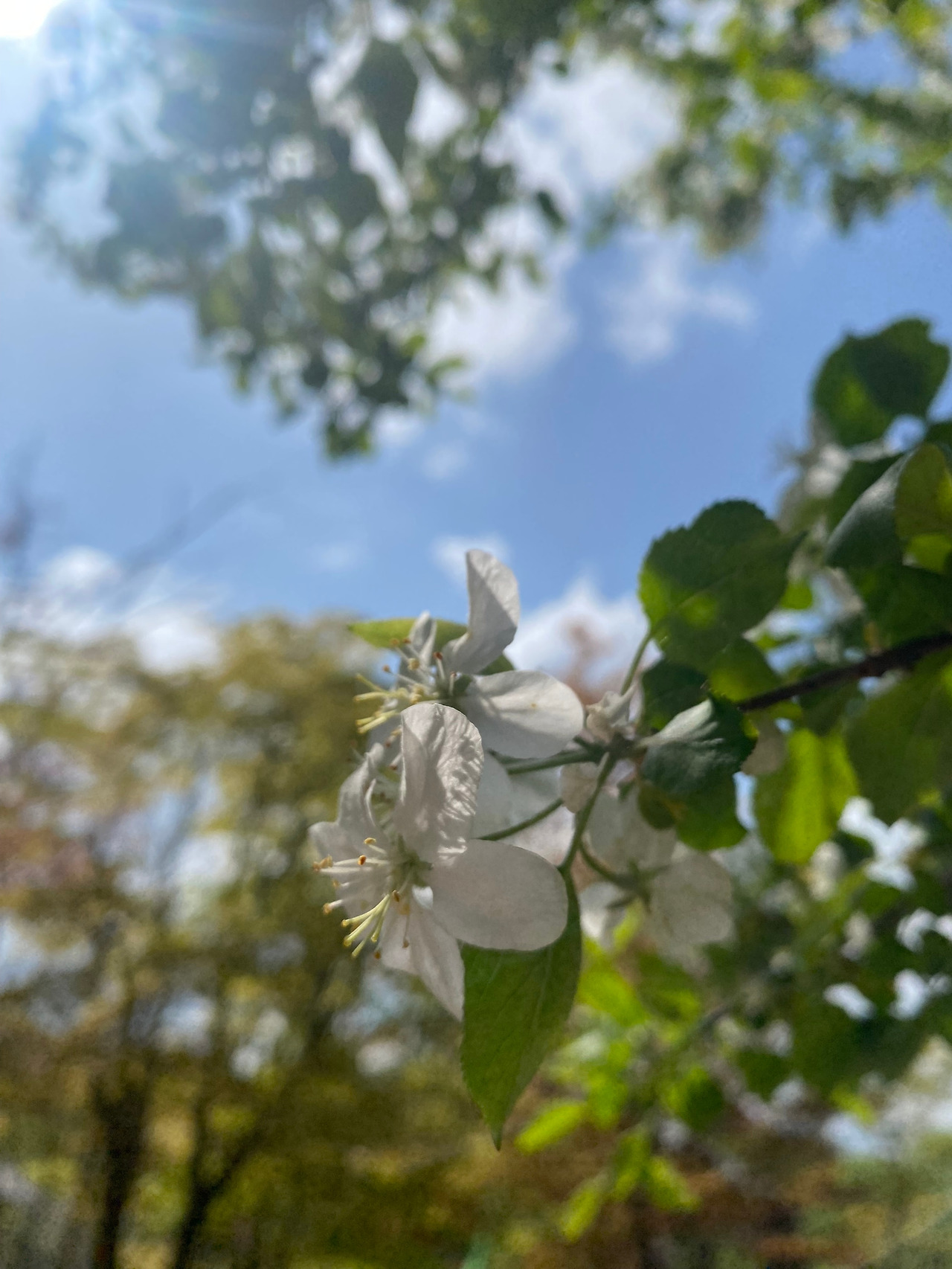 KakaoTalk_20250421_155407715_17 - 복사본.jpg